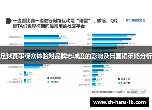 足球赛事观众体验对品牌忠诚度的影响及其营销策略分析