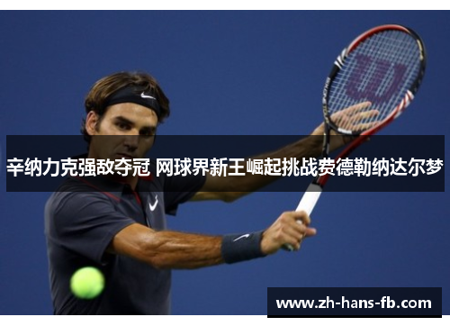 辛纳力克强敌夺冠 网球界新王崛起挑战费德勒纳达尔梦
