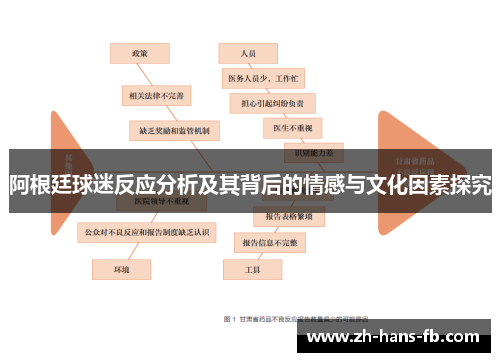阿根廷球迷反应分析及其背后的情感与文化因素探究