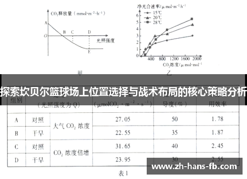 探索坎贝尔篮球场上位置选择与战术布局的核心策略分析 探索坎贝尔篮球场上位置选择与战术布局的核心策略分析