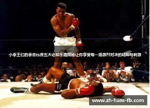小拳王们的拳击比赛五大必知乐趣揭秘让你享受每一场激烈对决的精彩与刺激 小拳王们的拳击比赛五大必知乐趣揭秘让你享受每一场激烈对决的精彩与刺激