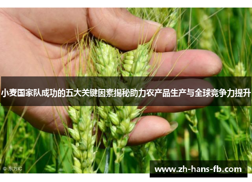 小麦国家队成功的五大关键因素揭秘助力农产品生产与全球竞争力提升