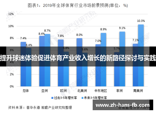 提升球迷体验促进体育产业收入增长的新路径探讨与实践